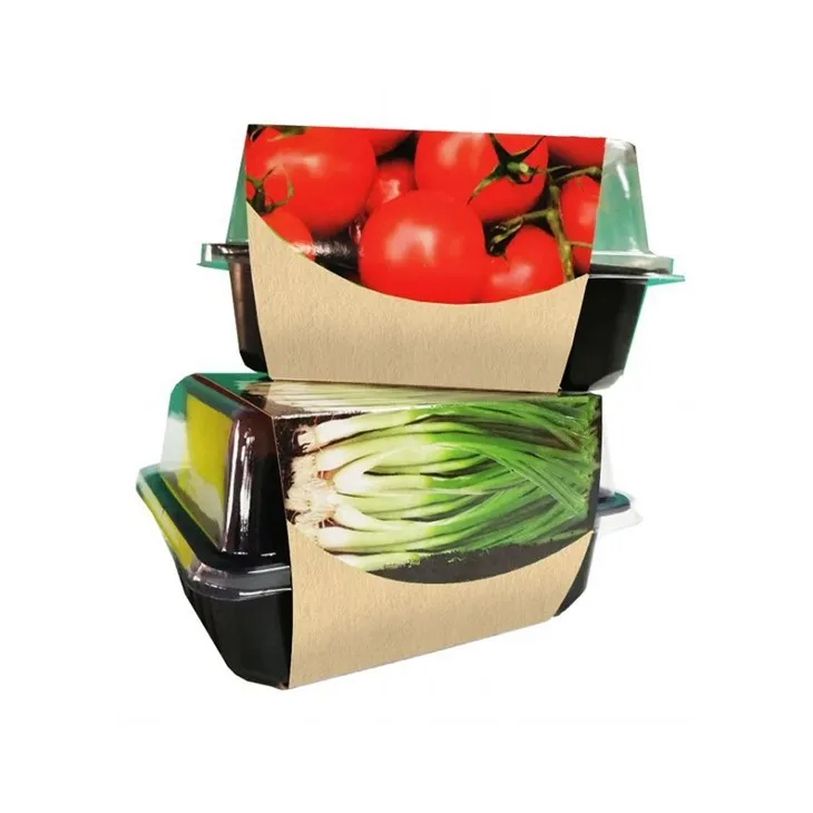 मिनी ग्रीनहाउस में ग्रो किट